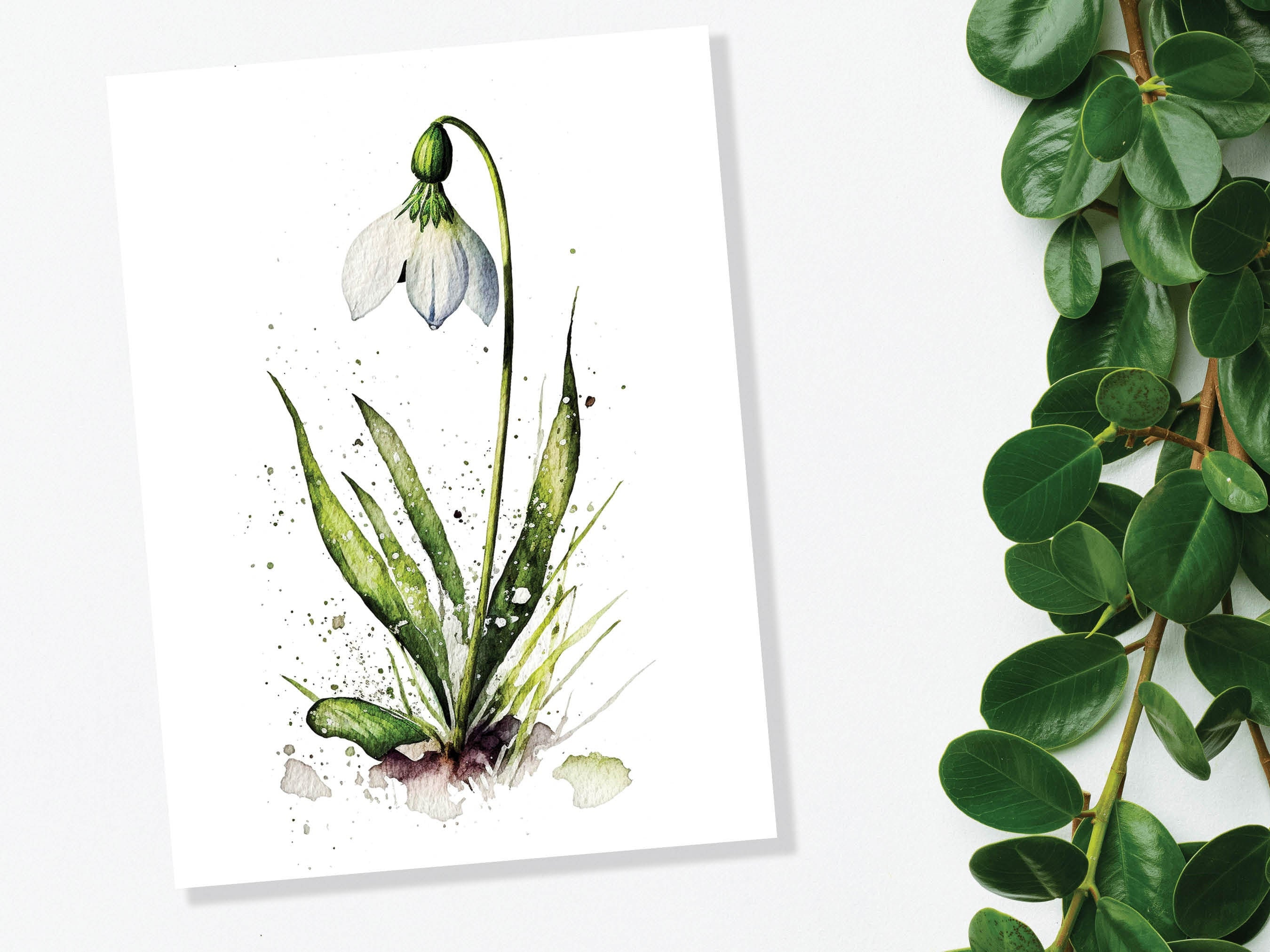 Watercolour Snowdrop Card Imbolc New Beginning Sympathy Greeting Cards Spring Botanical Nature January Birth Flower Gardener Floral Birthday - View 10