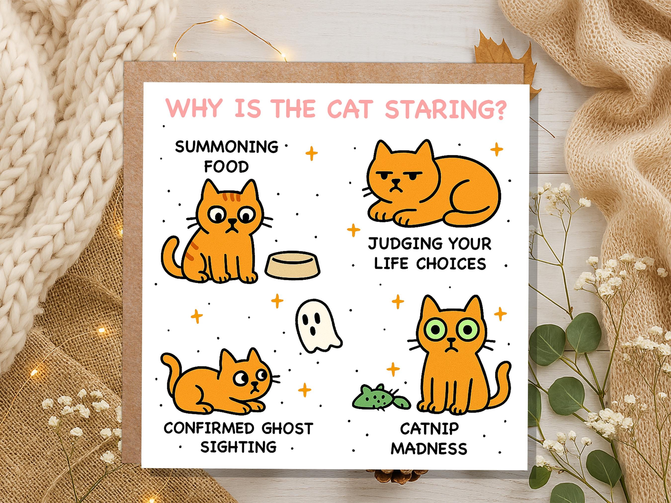 Why Is the Cat Staring? Funny Cat Meme Birthday Card | Catnip Madness, Judging your Life Choices | Relatable Crazy Cat Lady Mum Dad Humour - View 4
