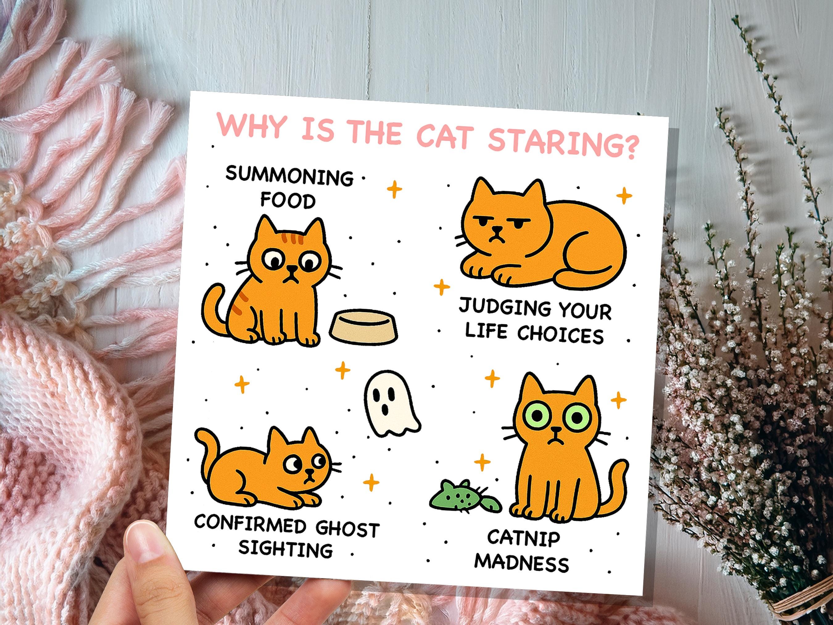 Why Is the Cat Staring? Funny Cat Meme Birthday Card | Catnip Madness, Judging your Life Choices | Relatable Crazy Cat Lady Mum Dad Humour - View 6