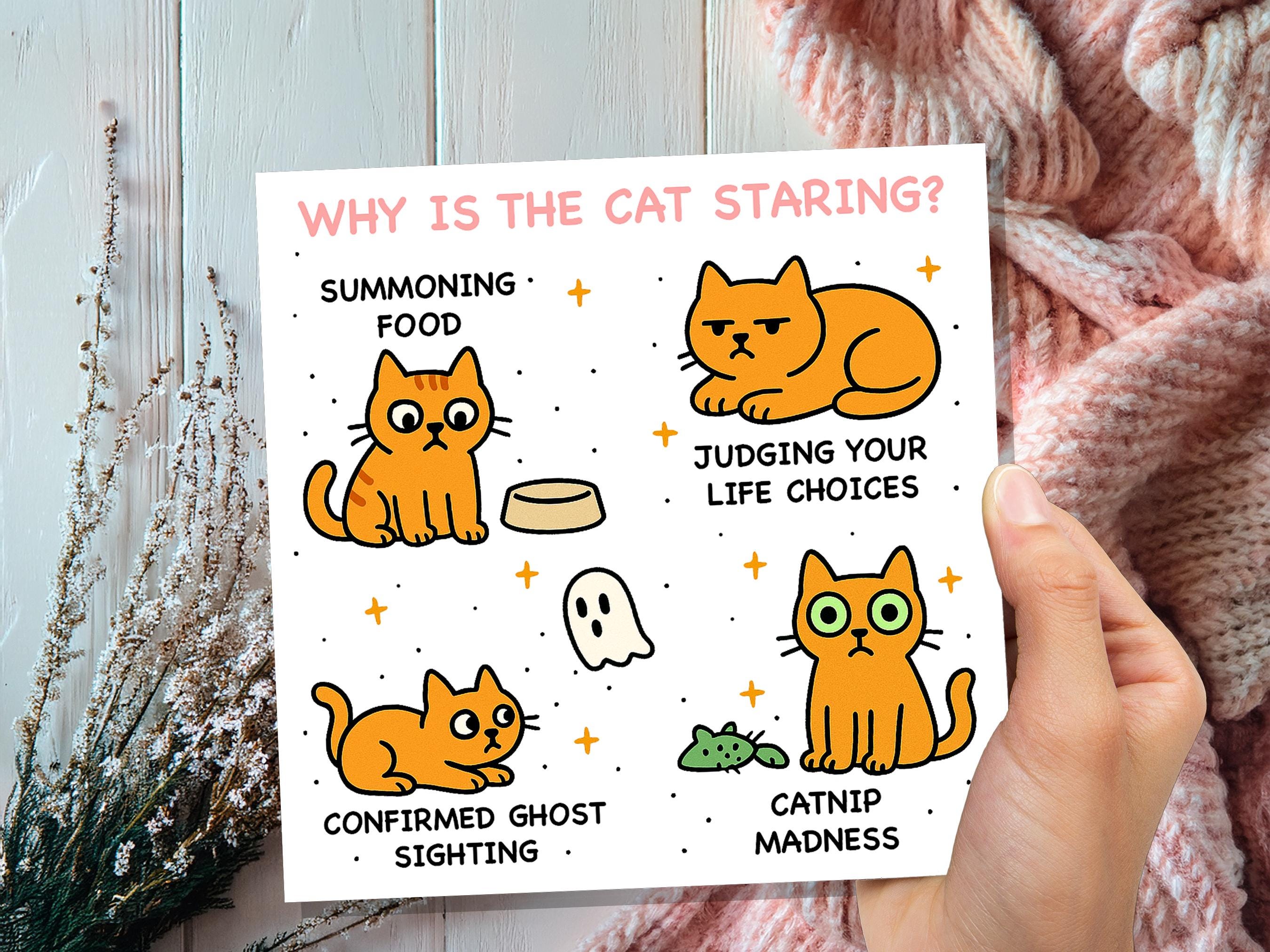 Why Is the Cat Staring? Funny Cat Meme Birthday Card | Catnip Madness, Judging your Life Choices | Relatable Crazy Cat Lady Mum Dad Humour - View 9